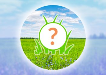 Heures d&rsquo;ouverture des prochains Pokémon GO : programme d&rsquo;octobre 2024