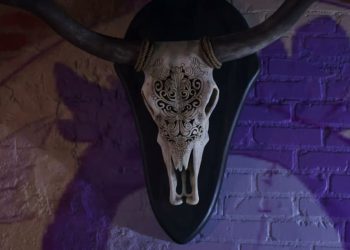 Où trouver l&rsquo;escabeau pour examiner le crâne de vache dans Life Is Strange : double exposition