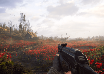 Comment compléter les champs de coquelicots dans Stalker 2