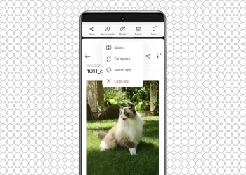 Comment utiliser Open Canvas sur les téléphones OnePlus