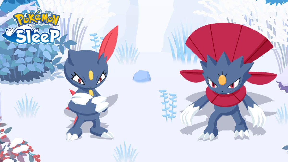 Comment obtenir Sneasel et Weavile dans Pokémon Sleep