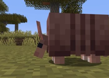 Comment obtenir des éclats de tatou dans Minecraft