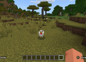 Où trouver les 3 variantes de poulet Minecraft