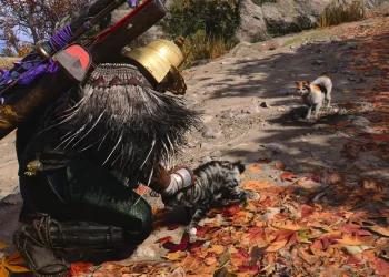 Où trouver l&rsquo;île de chat dans les ombres de croyance d&rsquo;Assassin