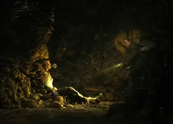 Tlou S2E5 : Enfin, les spores sont ici rapprochent le spectacle du jeu